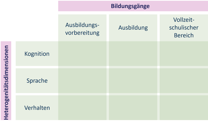 Matrix zu Verortung der Videovignetten nach Heterogenitätsdimension und Schulart wie im Text beschrieben